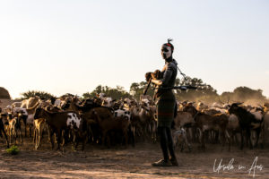 A Kara man with an AK-47 and a baby goat watches a herd, Dus Village Ethiopia