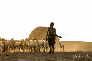 Young Kara goatherd in golden afternoon dust, Dus Village Ethiopia