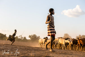 Young Kara goatherd in a striped wrap, Dus Village Ethiopia
