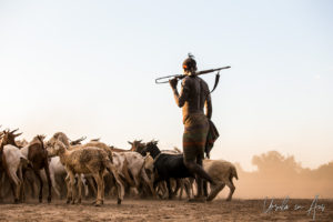 A Kara man with an AK-47 watches a goat herd, Dus Village Ethiopia