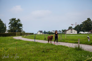 A girl with a pony on a path through the green, Jona Switzerland.