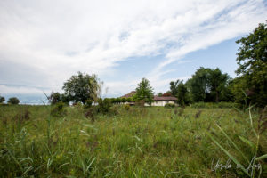 House in a field, Busskirch, Rapperswil-Jona, Switzerland.