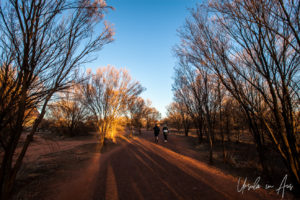 Sun rising over the Uluru base walk, Kuniya Piti, NT Australia