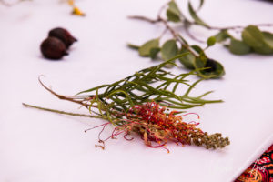 Bush tucker plants laid out on white basket, Arkani Theatre, Ayers Rock Resort NT Australia.