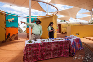 Male and female employees giving a bush tucker talk, Ayers Rock Resort NT Australia.