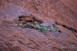 Tumbled red rocks and rough rock surface, Uluru NT Australia