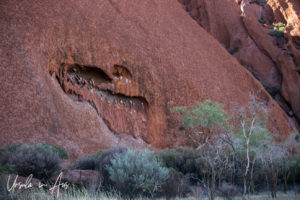 Rock markings, Lungkata walk, Uluru NT Australia