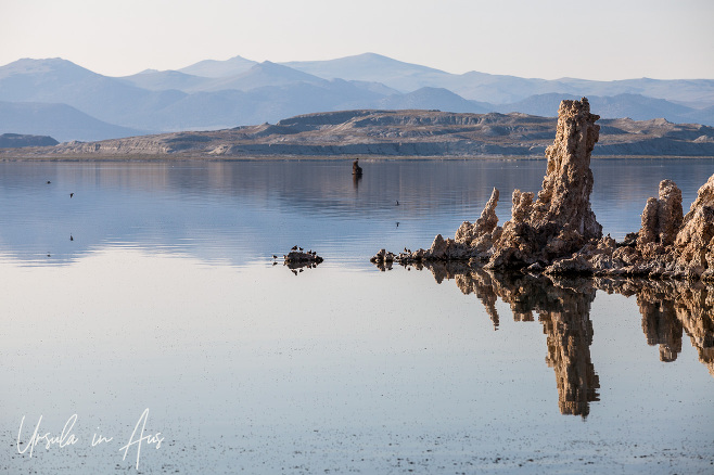 Tufas in the lake, Mono Lake Tufa State Natural Reserve, California USA