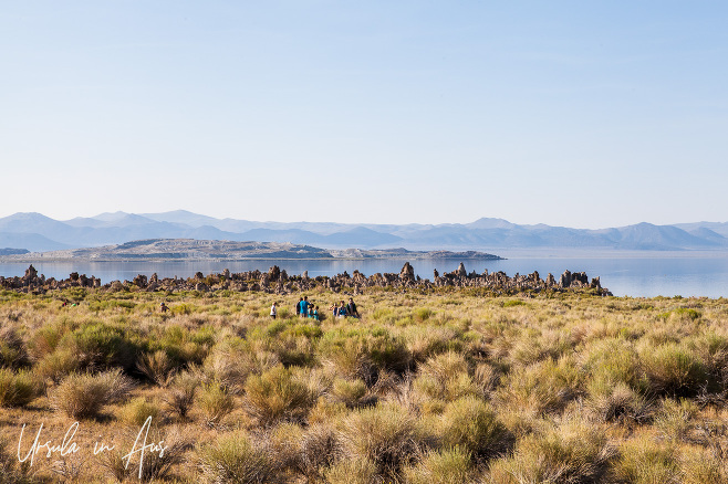 Landscape, South Tufa Area, Mono Lake Tufa State Natural Reserve, California USA