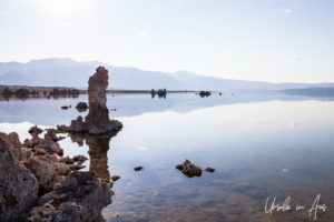Tall Limestone Tufa, South Tufa Area, Mono Lake Tufa State Natural Reserve, California USA