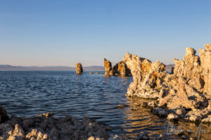 Tufa on the lake, Mono Lake Tufa State Natural Reserve, California USA