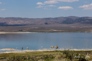 Small tufas in the lake, Mono Lake Tufa State Natural Reserve, California USA