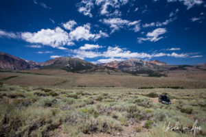 Hills, Lee Vining Canyon, Mono County, California USA