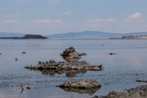 Small tufas, Mono Lake Tufa State Natural Reserve, California USA
