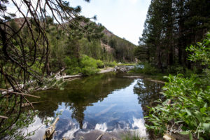 Virginia Creek, Virginia Lakes Trail, Mono County California USA
