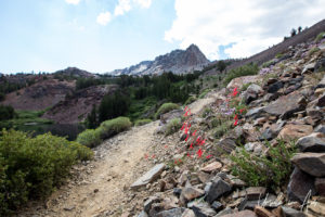 Landscape, Virginia Lakes Trail, Mono County California USA