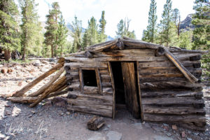Miner's Cabin, Virginia Lakes Trail, Mono County California USA