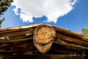 Roof beam, Miner's cabin, Virginia Lakes Trail, Mono County California USA