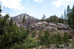 Landscape, Virginia Lakes Trail, Mono County California USA