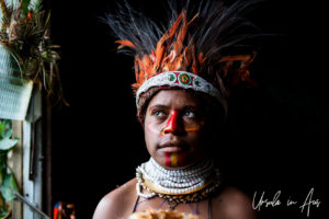 Portrait: Young Papuan woman in a feathered headdress, Mt Hagen PNG