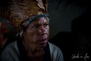 Portrait: Western Highland Woman in a headdress made from leaves, Mt Hagen PNG