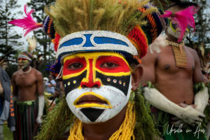 Western Highland boy in face paint and moss, Mt Hagen Festival, Papua New Guinea