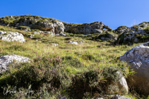Jagged rocks and grass, Vega de Sotres, Spain