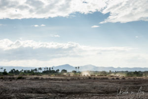 Donkeys on a dusty horizon, Omo Vally Ethiopia
