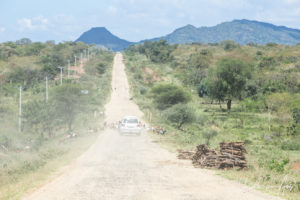 Animals in a dusty road to Jinka, Omo Vally Ethiopia