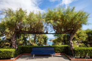 Blue bench with an arbor of trees, Santander Spain