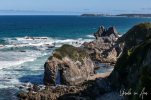 Horsehead Rock, Bermagui Coastal Walk, NSW Australia