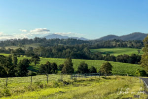 Landscape: pastoral land, Cobargo-Bermagui Road, NSW Australia