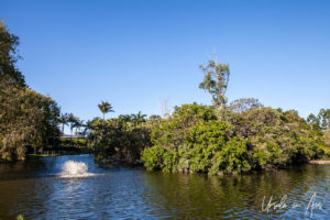 Fountain and island in the lake, Bundaberg Botanic Gardens, Queensland Australia.