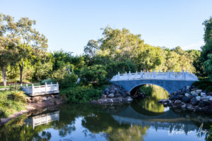 Chinese bridge, Bundaberg Botanic Gardens, Queensland Australia.