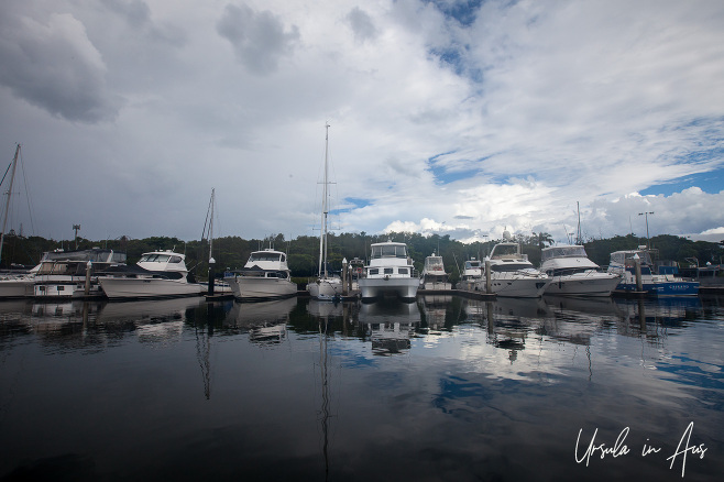 Boats in the marina off Wharf Street, Port Douglas, Queensland Australia