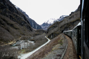 Train going into a tunnel on the Flåmsbana, Norway
