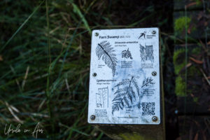 Fern information sign, Endeavour Fern Gully, Red Hill Victoria, Australia
