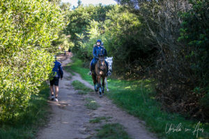 Horse riders, Merricks - Red Hill Rail Track, Victoria, Australia