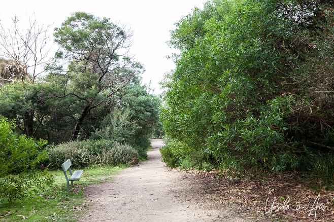 Sandy Mount Martha entry to the Balcombe Creek Estuary Boardwalk, Victoria Australia