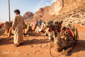Young Bedouin man, tourists and camels, Wadi Rum, Jordan