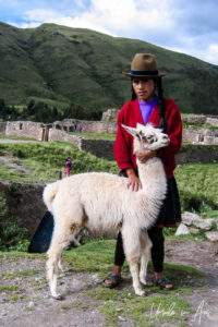 A Peruvian girl and her llama, Tambomachay, Cusco, Peru