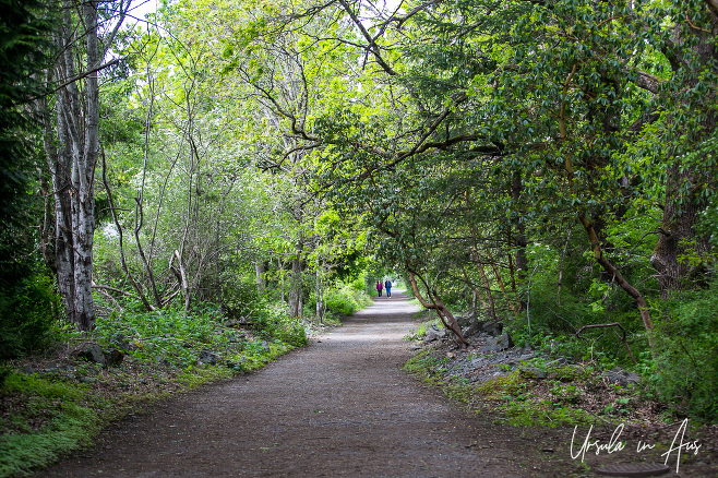 Pathway into the woods around Buttertubs Marsh Park, Nanaimo Canada