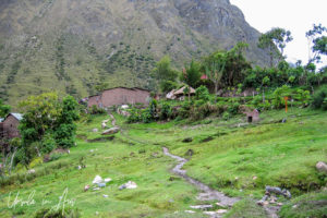 Close to our campsite, the Inca Trail, Peru