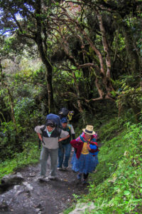 Peruvian woman and men on the Inca Trail, Peru
