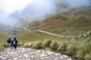 Trekkers walking down the Inca Trail, Peru