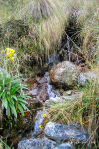 Rushing water and rocks on the Inca Trail, Peru