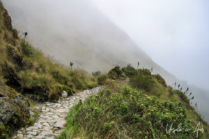 Clouds on the Inca Trail, Peru