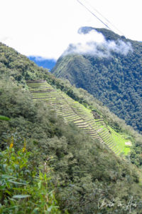 Agricultural terraces at Wiñay Wayna, the Inca Trail, Peru