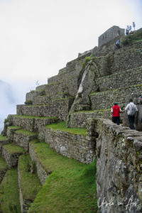 Stone terraces, Machu Picchu Peru
