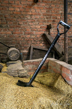 A shovel in mustard seed, Khokana Nepal.